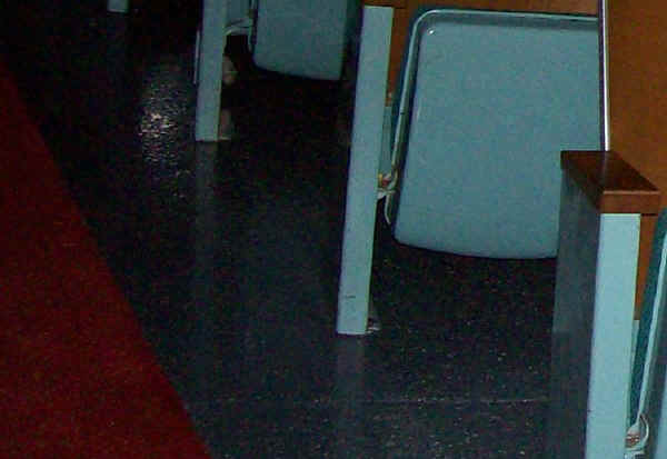 The Little Man Under the Chair